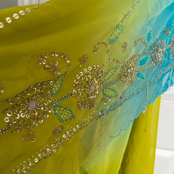 Beaded saree colours - Picture 4 of 9